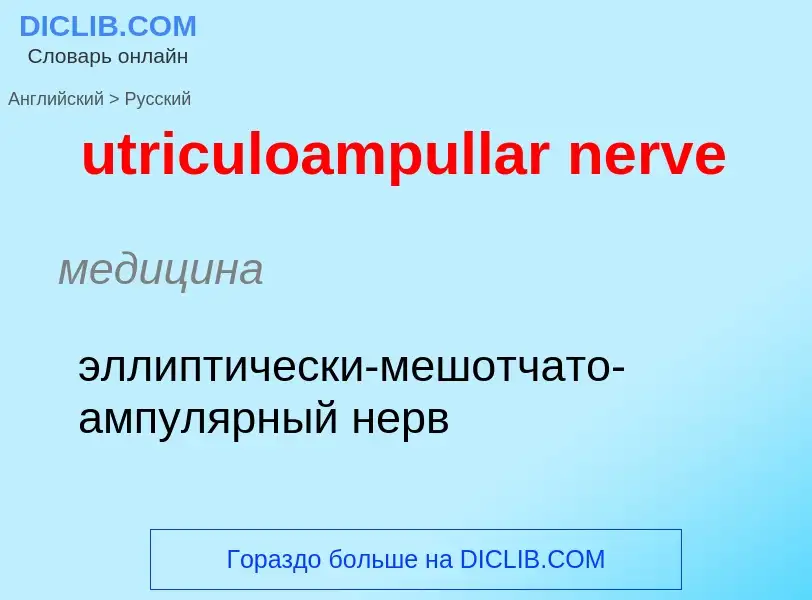 Traduzione di &#39utriculoampullar nerve&#39 in Russo