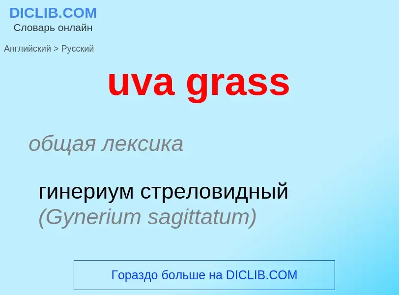 Как переводится uva grass на Русский язык