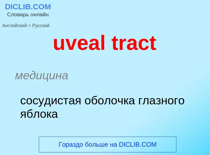 Как переводится uveal tract на Русский язык