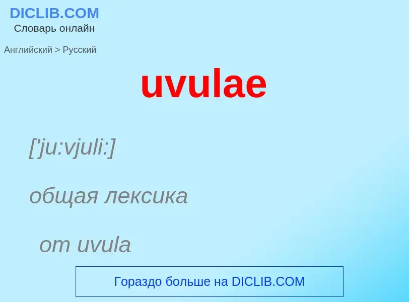 What is the Russian for uvulae? Translation of &#39uvulae&#39 to Russian