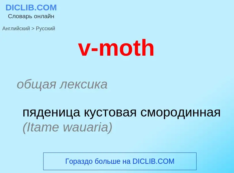 Μετάφραση του &#39v-moth&#39 σε Ρωσικά