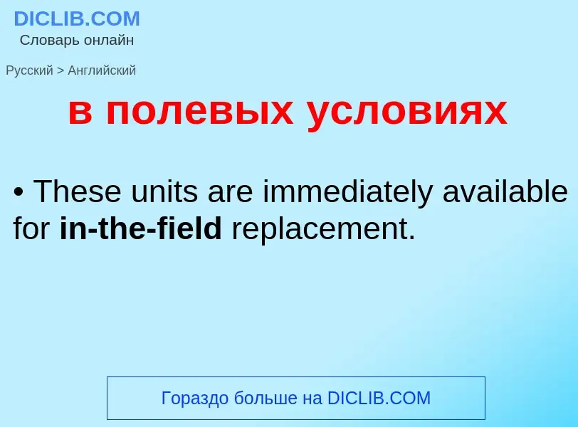 What is the English for в полевых условиях? Translation of &#39в полевых условиях&#39 to English