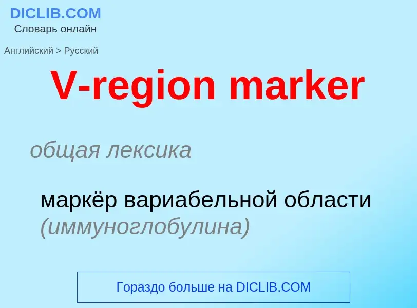 Как переводится V-region marker на Русский язык