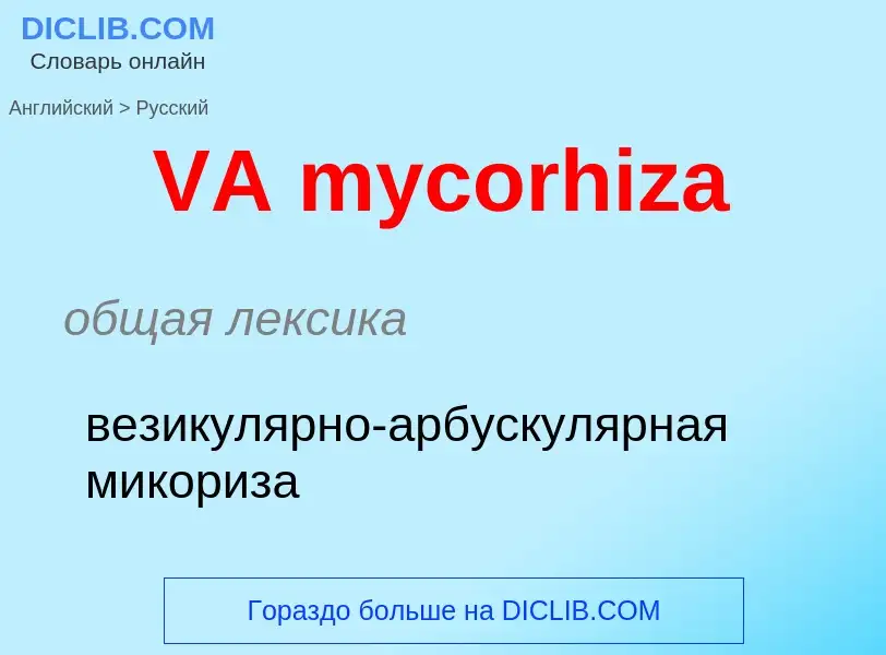 Как переводится VA mycorhiza на Русский язык