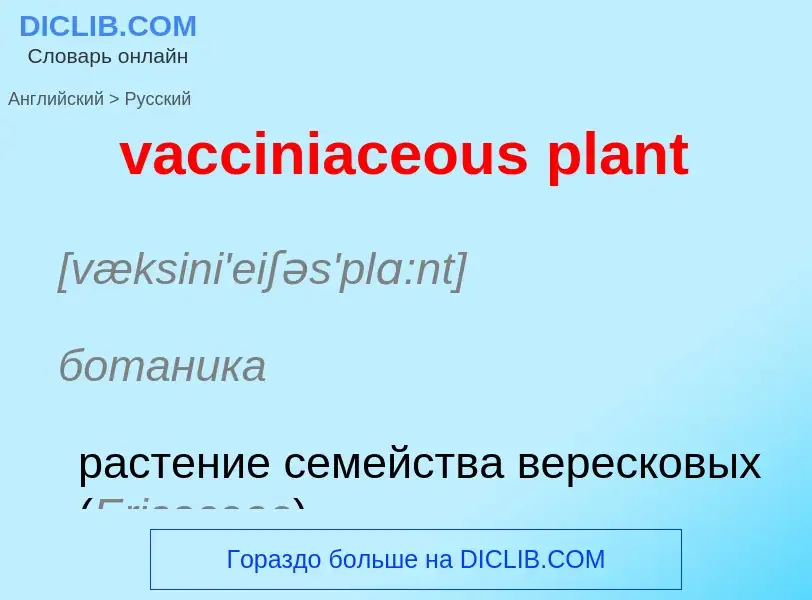 Μετάφραση του &#39vacciniaceous plant&#39 σε Ρωσικά