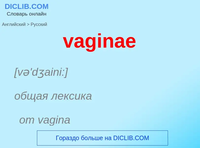 Μετάφραση του &#39vaginae&#39 σε Ρωσικά