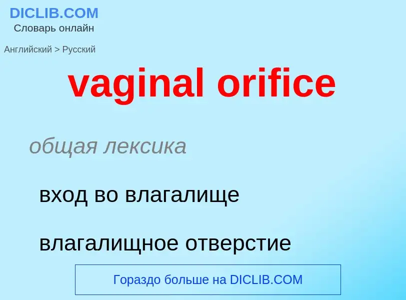 Μετάφραση του &#39vaginal orifice&#39 σε Ρωσικά