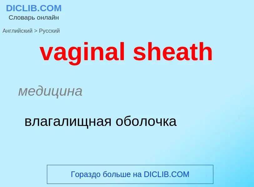 Μετάφραση του &#39vaginal sheath&#39 σε Ρωσικά