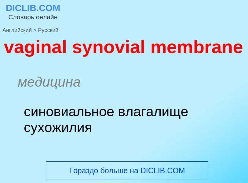 Μετάφραση του &#39vaginal synovial membrane&#39 σε Ρωσικά