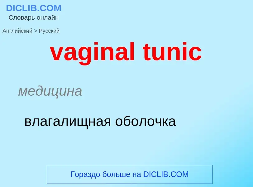 Μετάφραση του &#39vaginal tunic&#39 σε Ρωσικά