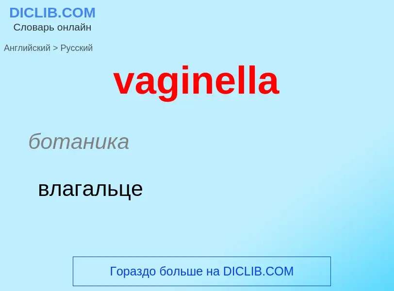 Μετάφραση του &#39vaginella&#39 σε Ρωσικά