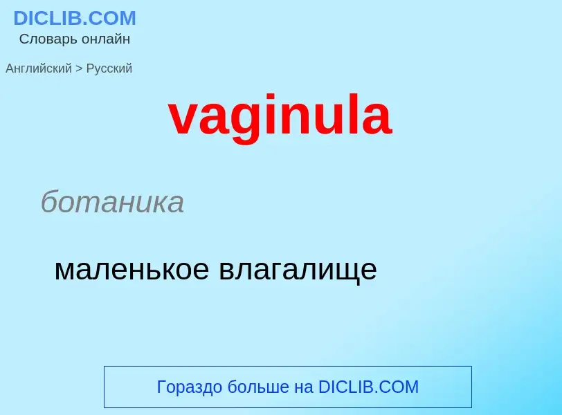 Μετάφραση του &#39vaginula&#39 σε Ρωσικά