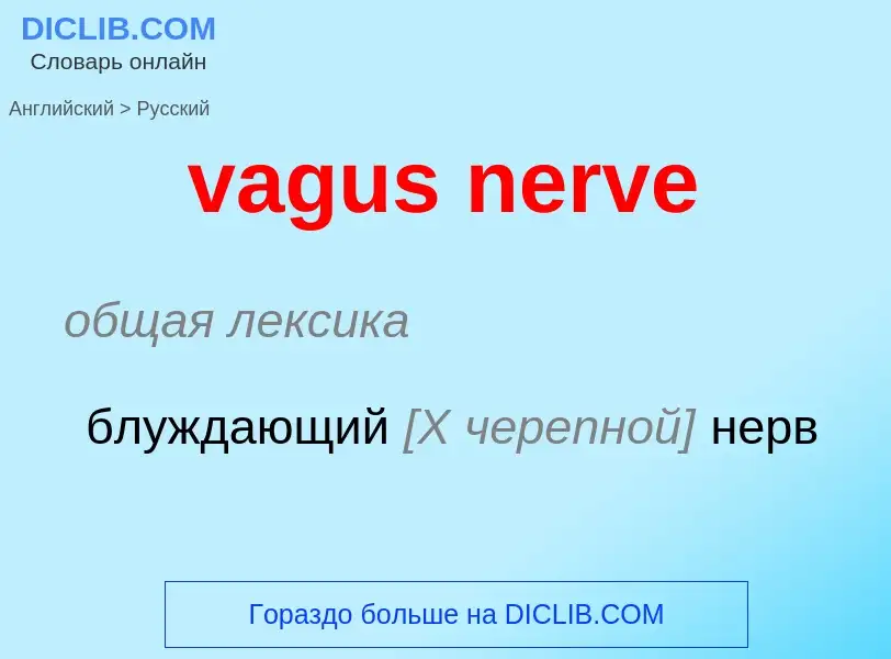 Μετάφραση του &#39vagus nerve&#39 σε Ρωσικά