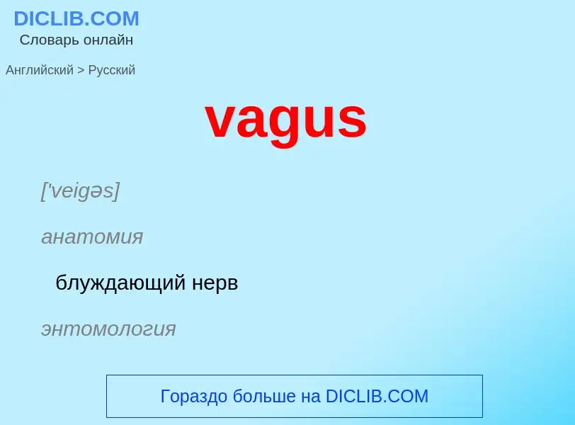 Μετάφραση του &#39vagus&#39 σε Ρωσικά