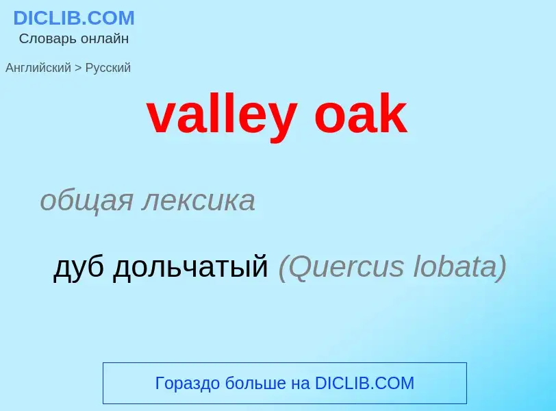 ¿Cómo se dice valley oak en Ruso? Traducción de &#39valley oak&#39 al Ruso