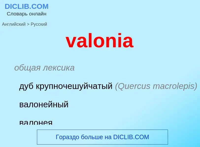 Как переводится valonia на Русский язык