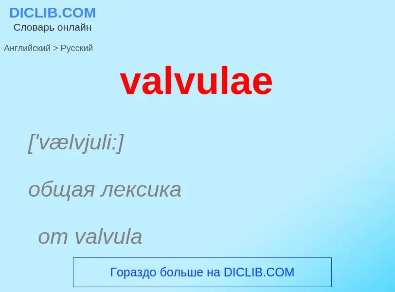 ¿Cómo se dice valvulae en Ruso? Traducción de &#39valvulae&#39 al Ruso