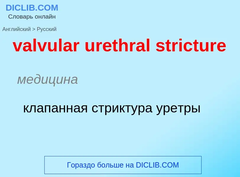 ¿Cómo se dice valvular urethral stricture en Ruso? Traducción de &#39valvular urethral stricture&#39