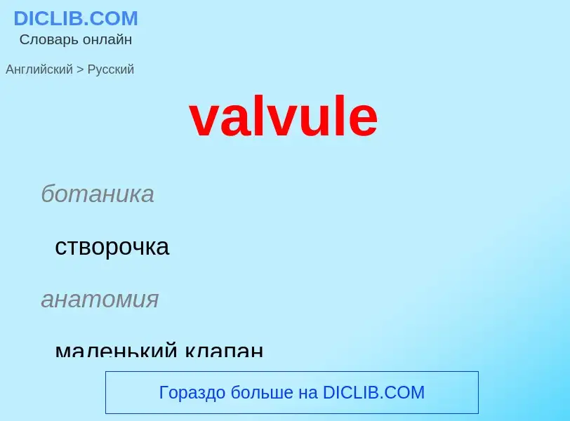 ¿Cómo se dice valvule en Ruso? Traducción de &#39valvule&#39 al Ruso