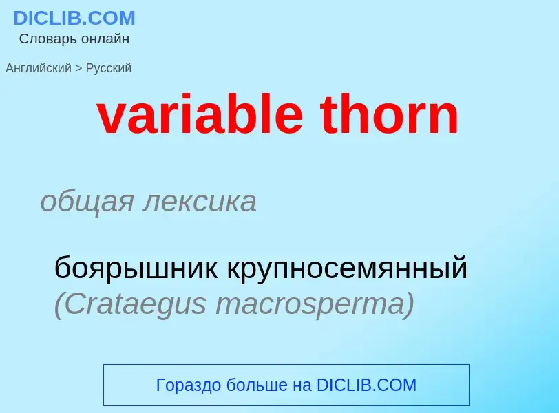 ¿Cómo se dice variable thorn en Ruso? Traducción de &#39variable thorn&#39 al Ruso