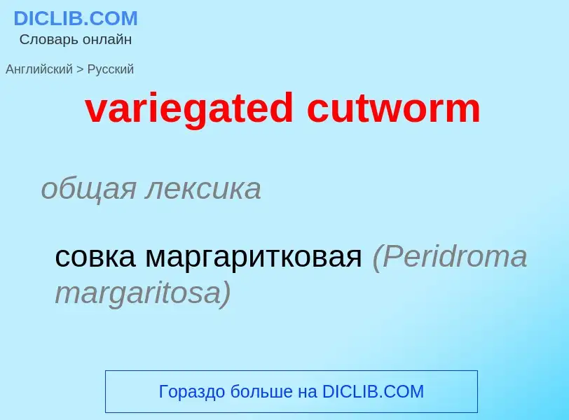 Как переводится variegated cutworm на Русский язык