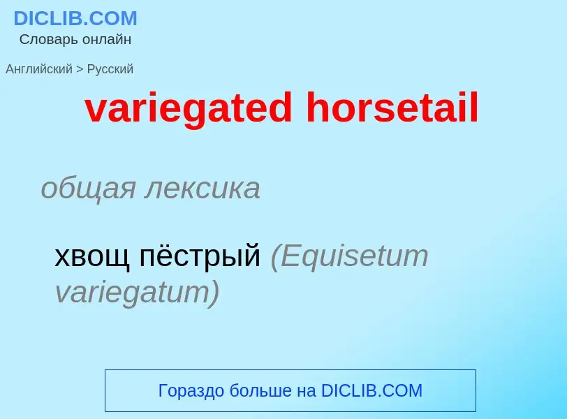 ¿Cómo se dice variegated horsetail en Ruso? Traducción de &#39variegated horsetail&#39 al Ruso