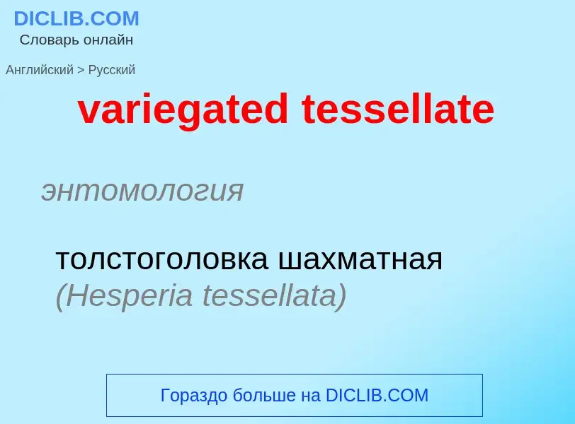 Μετάφραση του &#39variegated tessellate&#39 σε Ρωσικά