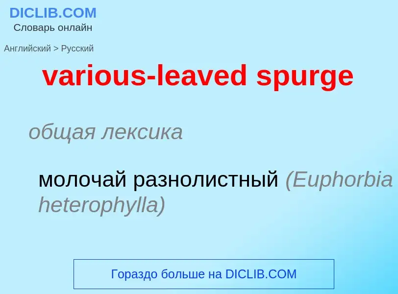 ¿Cómo se dice various-leaved spurge en Ruso? Traducción de &#39various-leaved spurge&#39 al Ruso