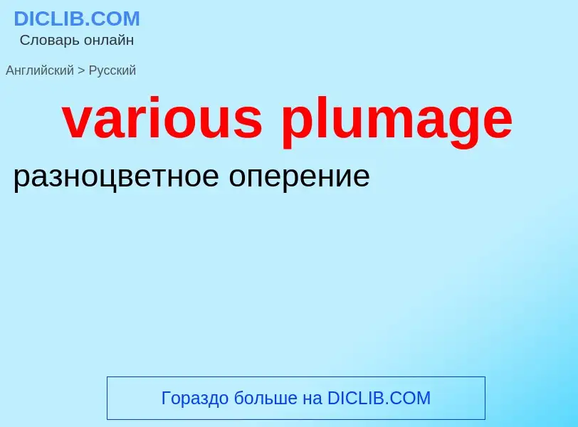 ¿Cómo se dice various plumage en Ruso? Traducción de &#39various plumage&#39 al Ruso