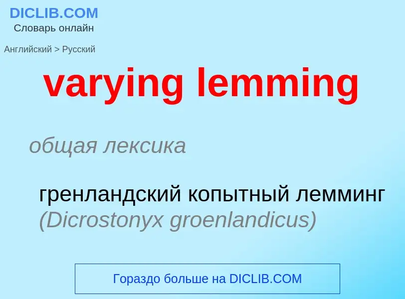 Как переводится varying lemming на Русский язык