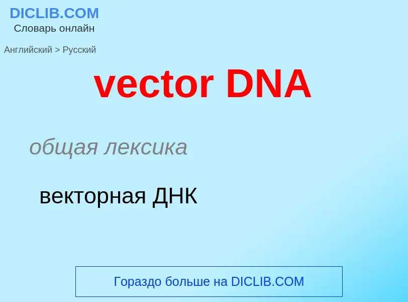 Как переводится vector DNA на Русский язык