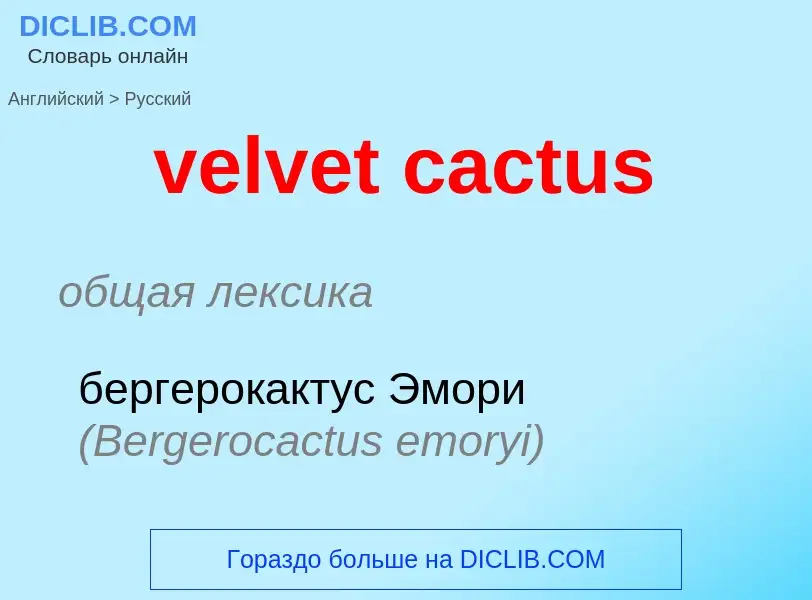 Как переводится velvet cactus на Русский язык