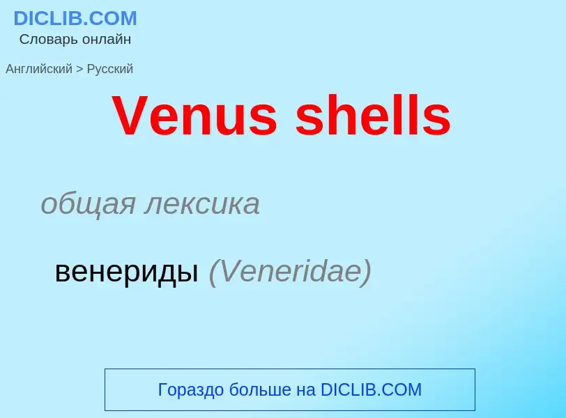 Μετάφραση του &#39Venus shells&#39 σε Ρωσικά