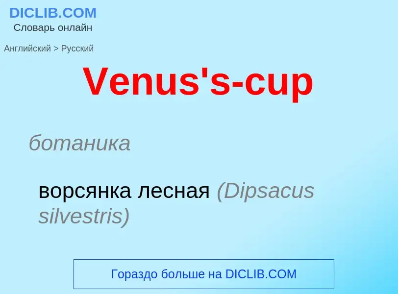 Μετάφραση του &#39Venus's-cup&#39 σε Ρωσικά