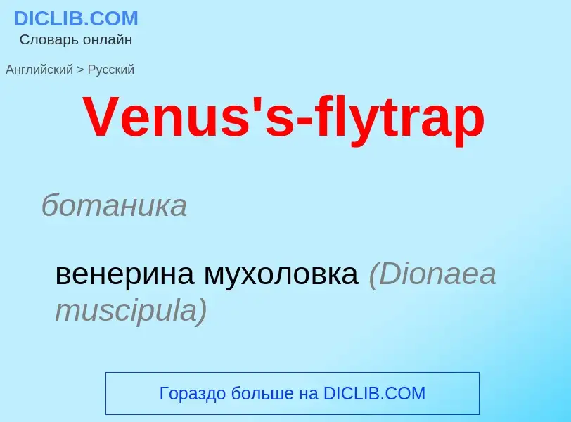 ¿Cómo se dice Venus's-flytrap en Ruso? Traducción de &#39Venus's-flytrap&#39 al Ruso