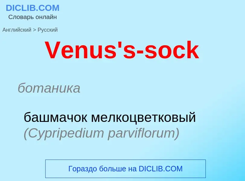 Übersetzung von &#39Venus's-sock&#39 in Russisch