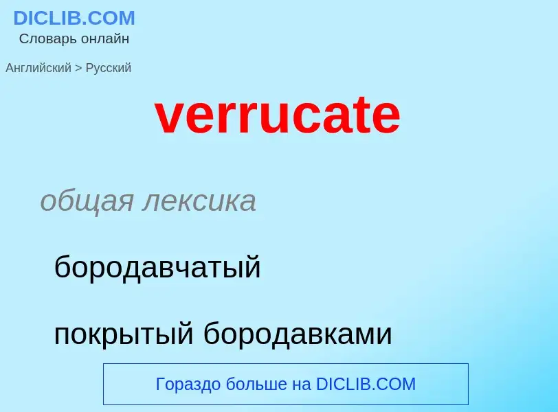 Как переводится verrucate на Русский язык