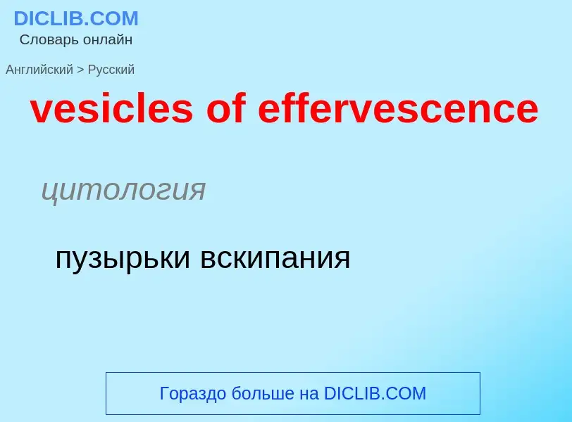 Como se diz vesicles of effervescence em Russo? Tradução de &#39vesicles of effervescence&#39 em Rus