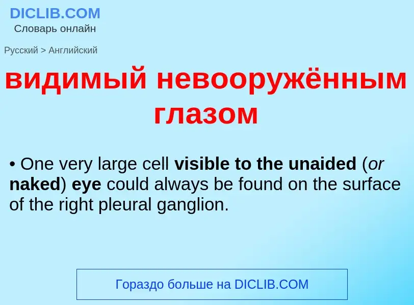 Vertaling van &#39видимый невооружённым глазом&#39 naar Engels