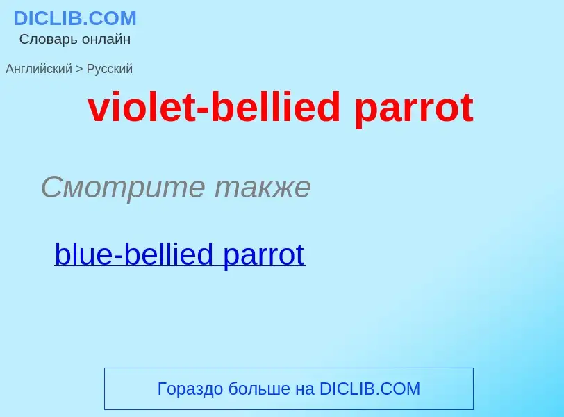 ¿Cómo se dice violet-bellied parrot en Ruso? Traducción de &#39violet-bellied parrot&#39 al Ruso