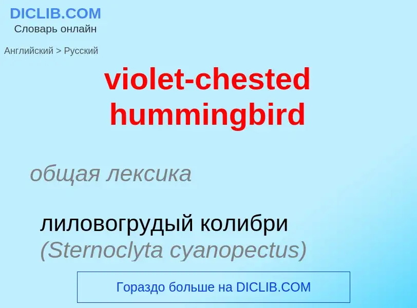 ¿Cómo se dice violet-chested hummingbird en Ruso? Traducción de &#39violet-chested hummingbird&#39 a