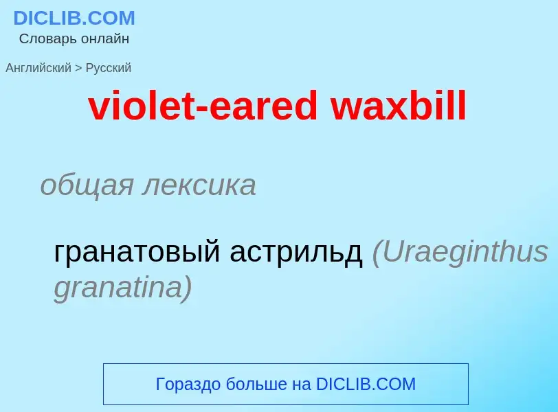 ¿Cómo se dice violet-eared waxbill en Ruso? Traducción de &#39violet-eared waxbill&#39 al Ruso