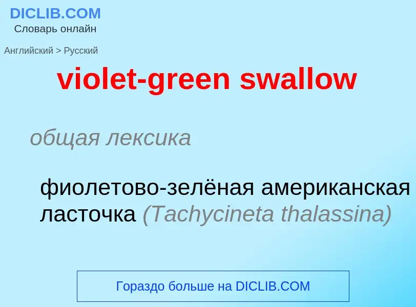 ¿Cómo se dice violet-green swallow en Ruso? Traducción de &#39violet-green swallow&#39 al Ruso