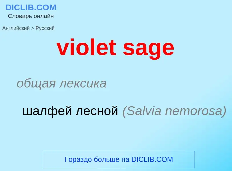 ¿Cómo se dice violet sage en Ruso? Traducción de &#39violet sage&#39 al Ruso