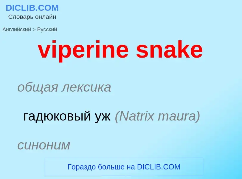 ¿Cómo se dice viperine snake en Ruso? Traducción de &#39viperine snake&#39 al Ruso