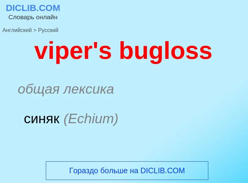 ¿Cómo se dice viper's bugloss en Ruso? Traducción de &#39viper's bugloss&#39 al Ruso