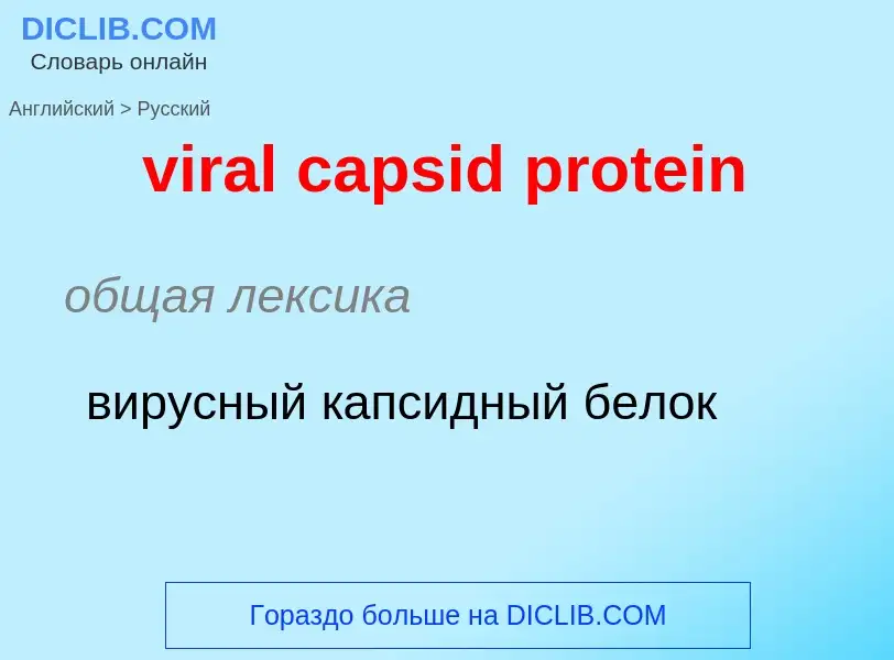 ¿Cómo se dice viral capsid protein en Ruso? Traducción de &#39viral capsid protein&#39 al Ruso