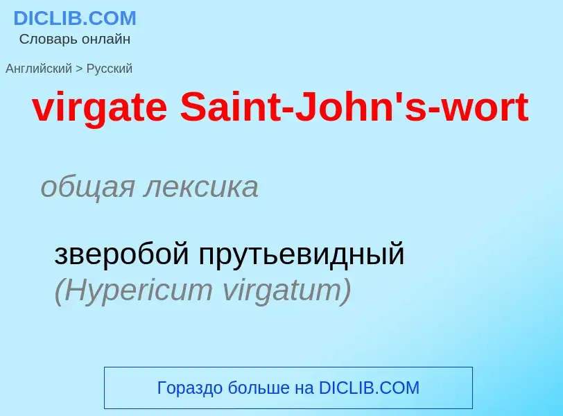 ¿Cómo se dice virgate Saint-John's-wort en Ruso? Traducción de &#39virgate Saint-John's-wort&#39 al 