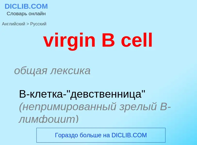 ¿Cómo se dice virgin B cell en Ruso? Traducción de &#39virgin B cell&#39 al Ruso