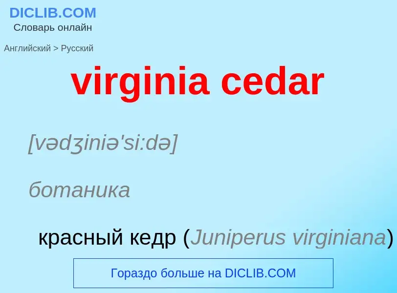 ¿Cómo se dice virginia cedar en Ruso? Traducción de &#39virginia cedar&#39 al Ruso